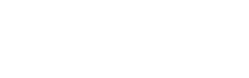 RegioBank - Braas & Partners